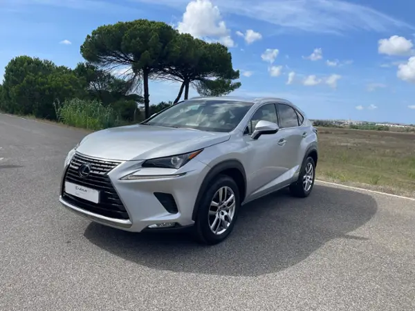 NX 300h